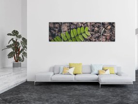 Obraz zielonej rośliny (170x50 cm)