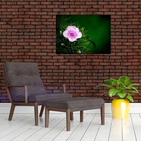 Obraz kwiatu róży (70x50 cm)