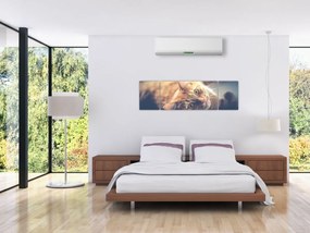 Obraz kota na podłodze (170x50 cm)