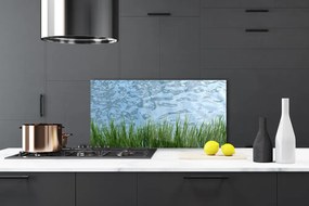 Panel Szklany Świeżość Trawy Nad Brzegiem