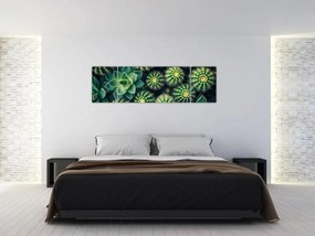 Obraz - Kaktusy (170x50 cm)