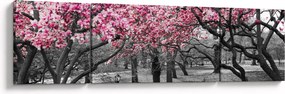 Obraz drzew magnolii (170x50 cm)
