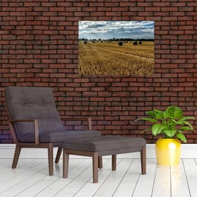 Obraz na szkle - zebrane pole zboża (70x50 cm)