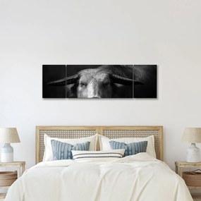 Obraz - Krowa (170x50 cm)