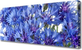 Obraz canvas Delikatność Roślinnych Form