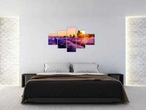 Obraz lawendowego pola (125x70 cm)