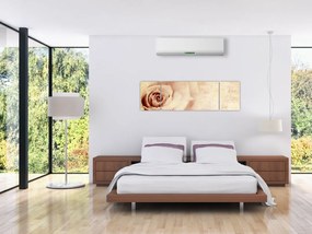 Obraz - Kwiat róży dla zakochanych (170x50 cm)