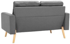 2-osobowa jasnoszara sofa - Eroa 2Q