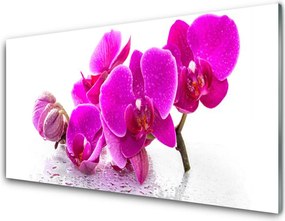 Panel Kuchenny Kolorowe Bratki W Ogrodzie