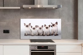Panel szklany do Kuchni Grupa Uroczych Kociąt