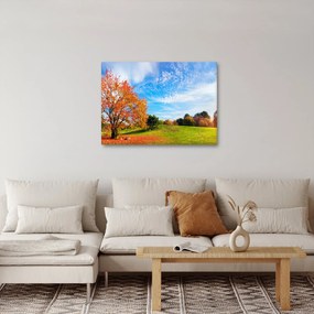 Obraz - Jesienny krajobraz (70x50 cm)