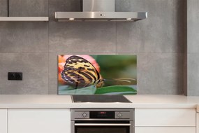 Panel Kuchenny Szklany Samotny Motyl w Locie