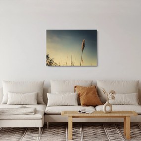 Obraz na szkle z trawą (70x50 cm)