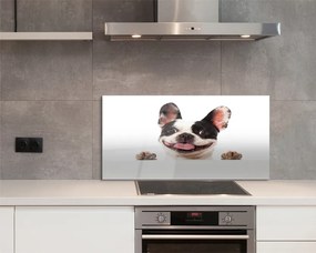 Panel Kuchenny Szklany Spojrzenie Wiernego Przyjaciela