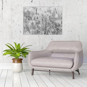 Obraz na szkle - Mroźna zima (70x50 cm)