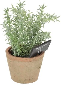 Sztuczna roślina (wysokość 21,5 cm) Thyme – Esschert Design