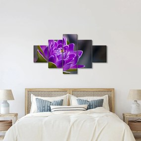 Obraz kwiatu (125x70 cm)