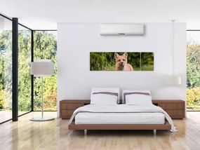 Obraz lisa (170x50 cm)