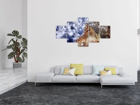 Obraz wilka (125x70 cm)