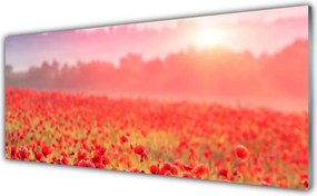 Panel Kuchenny Sielska Łąka W Kwiatach