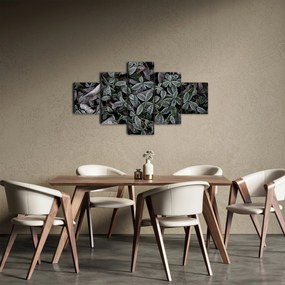 Obraz - Zamrożone rośliny (125x70 cm)