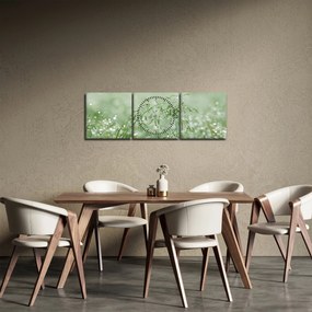 Obraz - Poranna rosa na źdźbłach trawy (z zegarem) (90x30 cm)