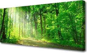 Obraz canvas Ścieżka w Głębi Lasu