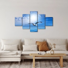 Obraz - Mewa nad morzem (125x70 cm)