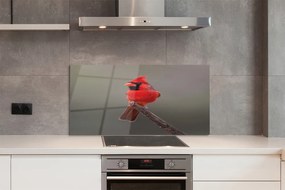 Panel Szklany Czerwona papuga na gałęzi