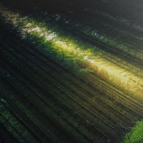 Obraz ciemnego lasu (125x70 cm)