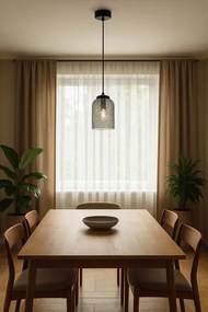 Wisząca lampa z podłużnym szklanym kloszem grafitowa T7-L25