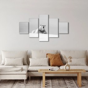 Obraz - Niedźwiedź polarny, czarno - biały (125x70 cm)
