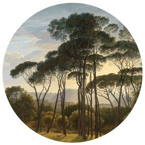 Okrągła fototapeta Stare drzewa 125 x 125 cm, 2części