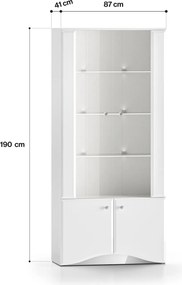 2-drzwiowa witryna Glamour 01, biały połysk