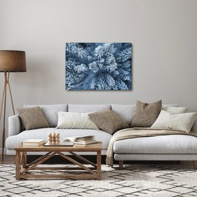 Obraz - Śnieżny las (70x50 cm)
