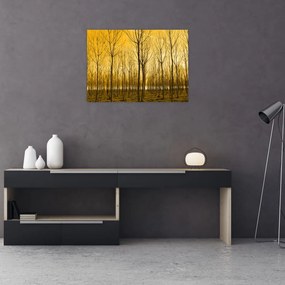 Obraz lasu o zachodzie słońca (70x50 cm)