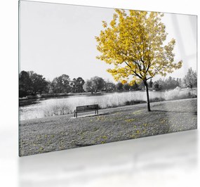 Obraz na szkle - Odpoczynek w parku (70x50 cm)