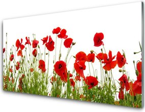 Panel Szklany Czerwone Maki w Letnim Polu