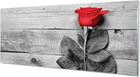 Szklany Panel Czerwona Róża