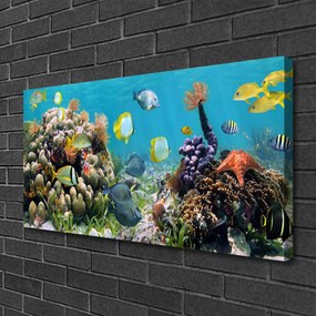 Obraz na płótnie Podwodny Świat Oceanu