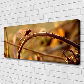 Obraz na płótnie Ważka na Roślinie