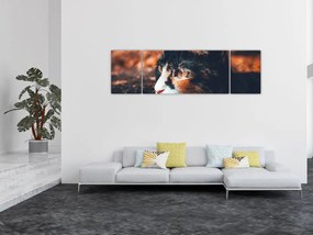 Obraz - Spojrzenie kota (170x50 cm)