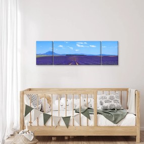 Obraz - Pole lawendy (170x50 cm)
