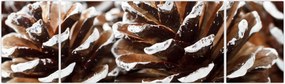 Obraz - Pączki (170x50 cm)