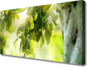 Obraz canvas Dojrzałe Jabłka na Gałęzi