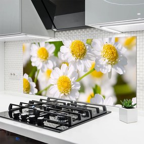 Panel nad blat kuchenny Stokrotki w Promieniach Słońca