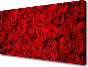 Obraz na płótnie Królewskie Róże Ścienne