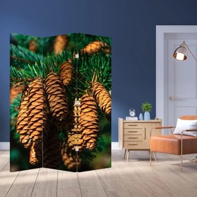 Parawan - Szyszki (126x170 cm)
