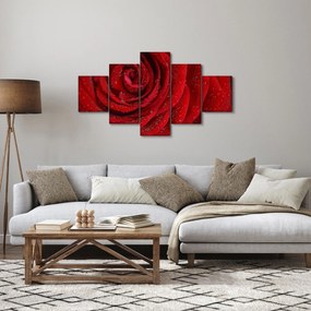 Obraz - szczegół róży (125x70 cm)