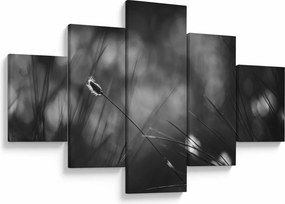 Obraz - Trawa łąkowa (125x70 cm)